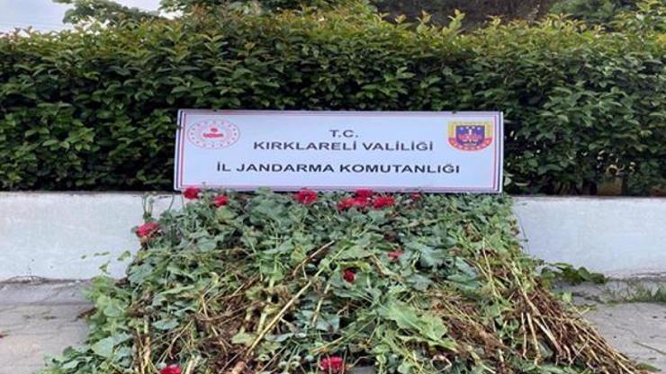 Kırklarelide uyuşturucu ve içki operasyonu