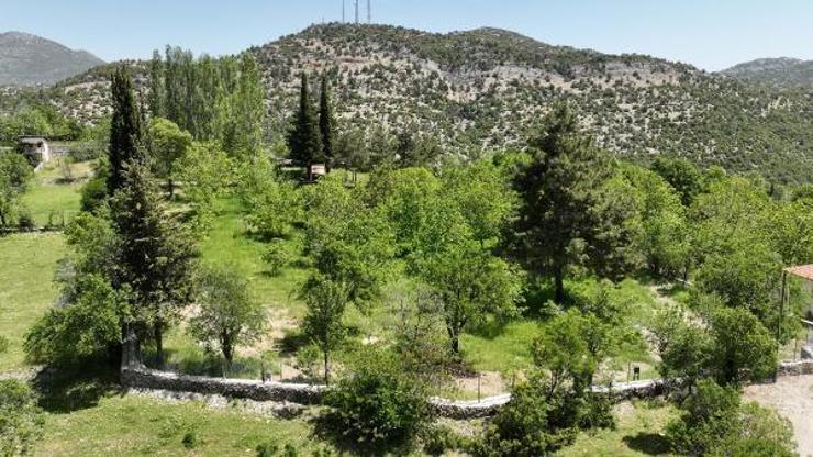 Büyükşehir’den Ormana’ya kamp ve karavan alanı
