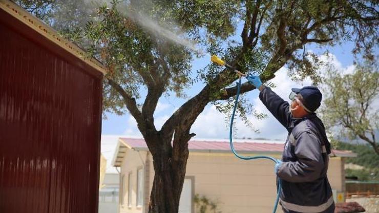 Hatay Büyükşehir Belediyesinden, 15 ilçe belediyesine haşere ve vektör çağrısı
