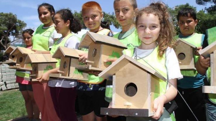 Talat Göktepe Çamlığına 150 adet kuş yuvası takıldı