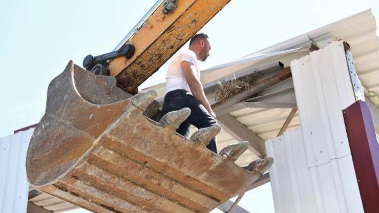 Kuş yuvasını gören ekipler yıkıma ara verdi