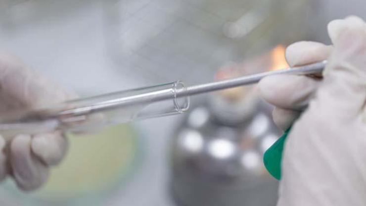 Sepsiste ilk bir saat içinde antibiyotik başlanması hayat kurtarıyor