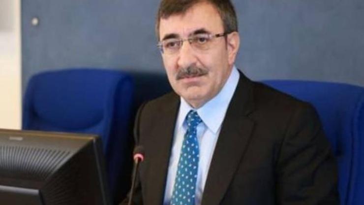 Cevdet Yılmaz kimdir Cumhurbaşkanı Yardımcısı Cevdet Yılmaz hangi görevlerde yer aldı