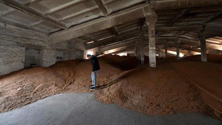 Ukrayna: Tahılda ‘B planı’ yapıyoruz