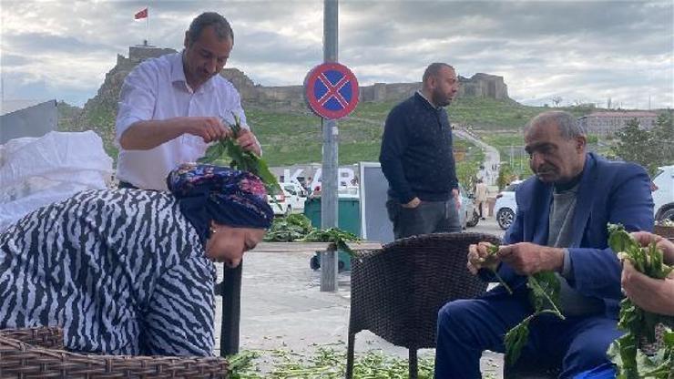 Karsta kadınların evelik otu mesaisi