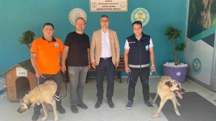 Koruma eğitimi alan can dostları Ateş ve Kiraz yeni yuvasında