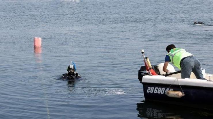 Darıcada deniz ve kıyıda temizlik yapıldı