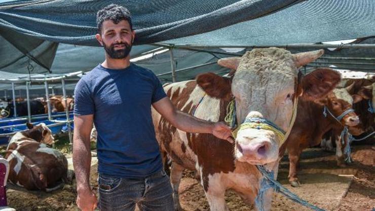 Kepezde kurban satış ve kesim noktaları hazır