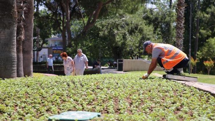 Antalya caddelerine 300 bin çiçek dikildi