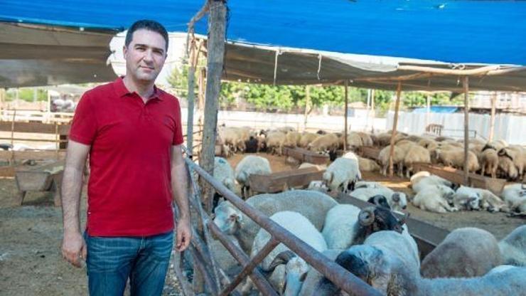 Seyhan’da bu yıl da kurban kesimi ücretsiz