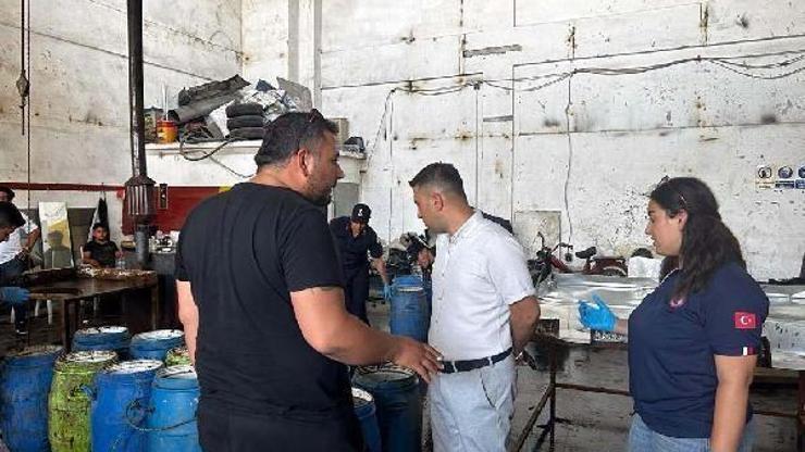 İzmirde ele geçirilen 900 kilogram deniz patlıcanı, denize geri bırakıldı