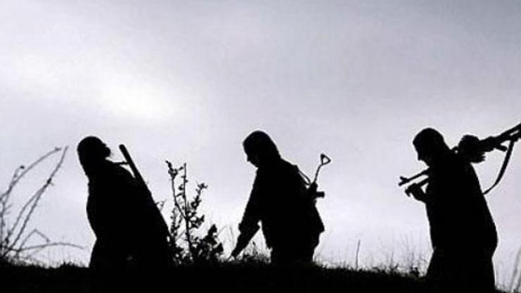 PKKda çözülme sürüyor 4 terörist daha teslim oldu