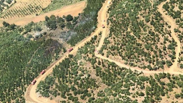 Manisada ormanlık alanlara girişler yasaklandı
