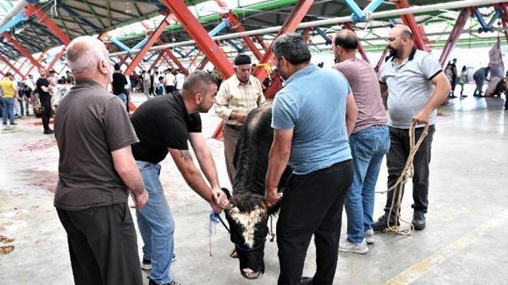 Osmangazi’de hijyenik kurban kesimi