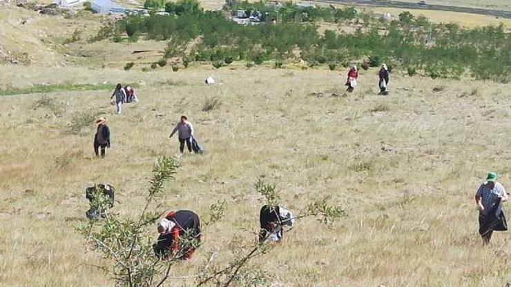 Iğdır Üniversitesi kampüsünde yetişen bitkiler, katma değeri yüksek ürünlere dönüştürülüyor