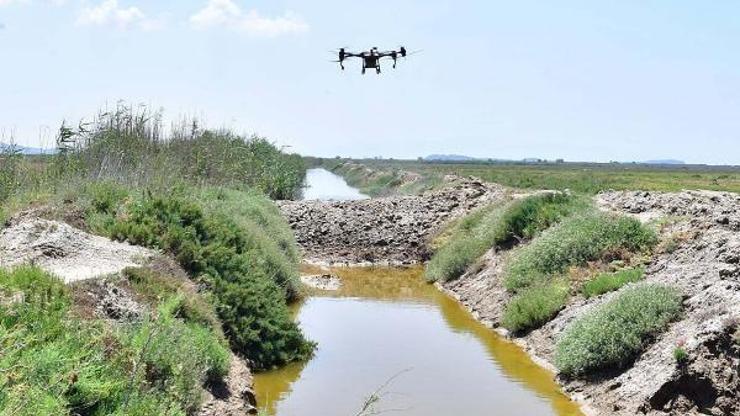 İzmir’de sivrisinek ile dronlu mücadele