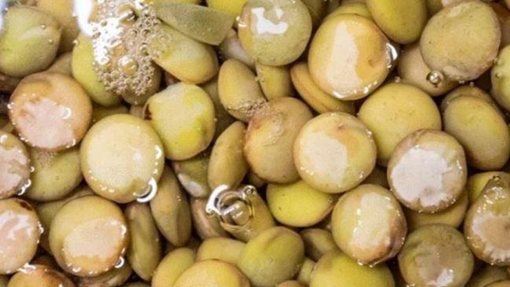 Yumurtadan 10 kat fazla protein içeriyor