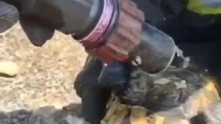 Kayseride mahsur kalan 2 kaplumbağayı itfaiye kurtardı