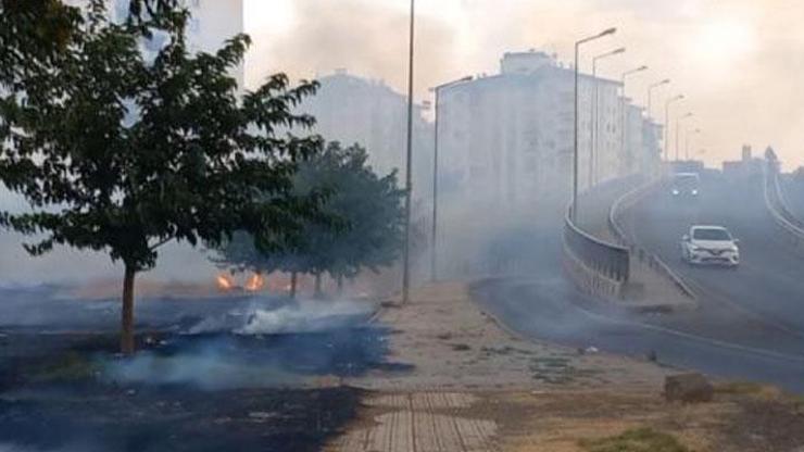 Diyarbakır’da kent merkezinde otluk alanda yangın