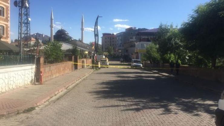 Bingöl’de otomobilin çarptığı Rana öldü