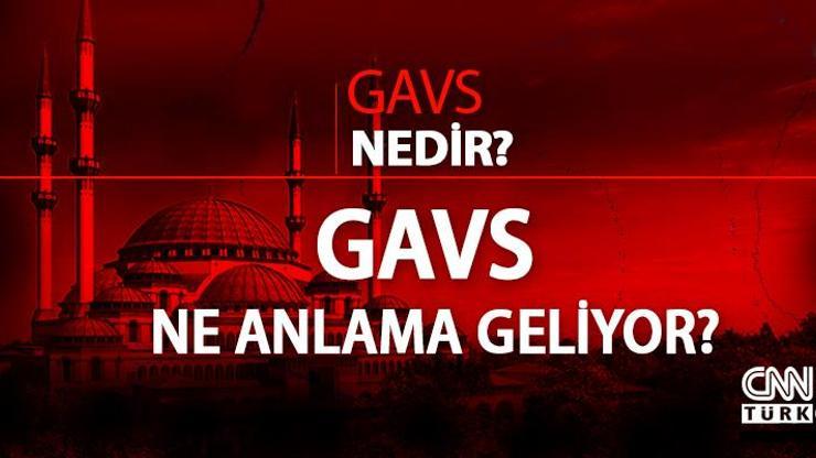 Gavs nedir, ne demek TDK gavs kelimesi ne anlama geliyor