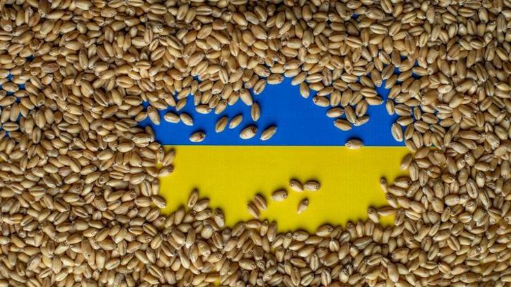 Son dakika Zelenskiden tahıl koridoru açıklaması
