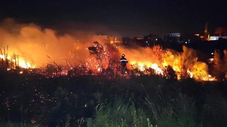 Cezayir’de orman yangını: 15 ölü