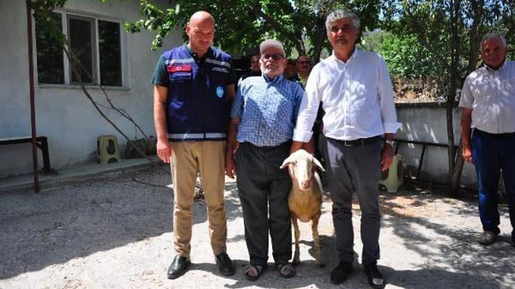 Manisadaki orman yangınında koyunları yanan aileye 5 küçükbaş hayvan verildi