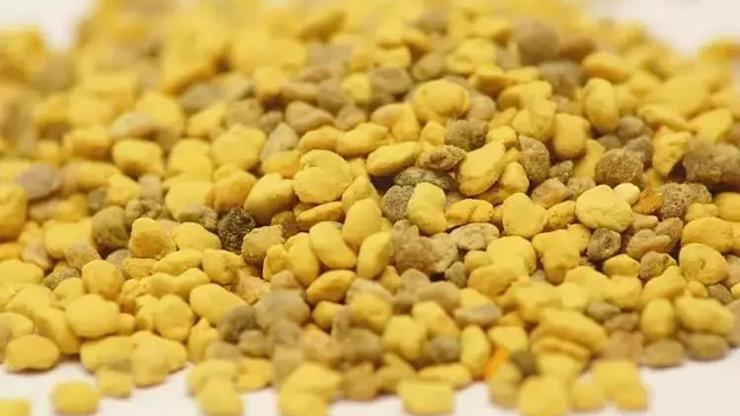 Antik yıllarda Tanrıların Besini deniyordu şimdi kıymeti bilinmiyor