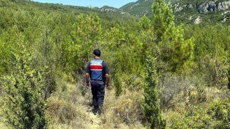Aydında yasağa rağmen ormana giren 29 kişiye 37 bin 555 TL ceza