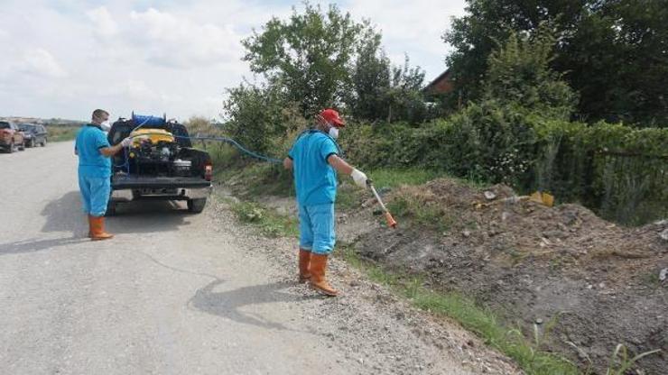 Edirne’de sivrisineklere karşı 8 ekiple mücadele