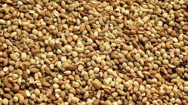 İbn-i Sina El Kanun-u Fittıb kitabında önermiş Böbrekleri kurtarıyor, damarları tertemiz yapıyor