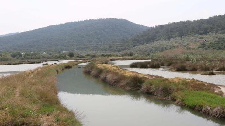 Bodrumdaki Gölköy Sulak Alanı tescil edildi