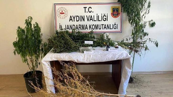 Aydında evde esrar ve hintkeneviriyle yakalanan 2 şüpheliye gözaltı