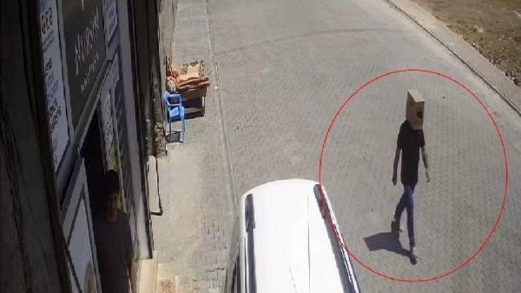 Sıcaktan bunalınca başına karton geçirerek dolaştı; o anlar kamerada