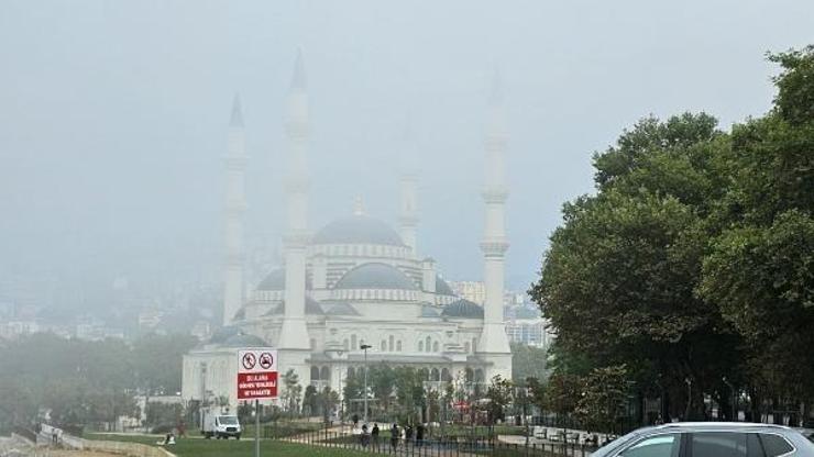 Zonguldakta sis etkili oldu