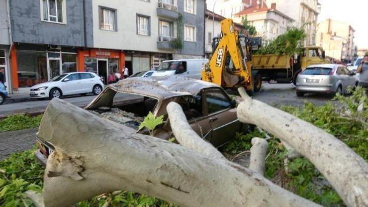 Ağaç dalı park halindeki otomobilin üzerine devrildi