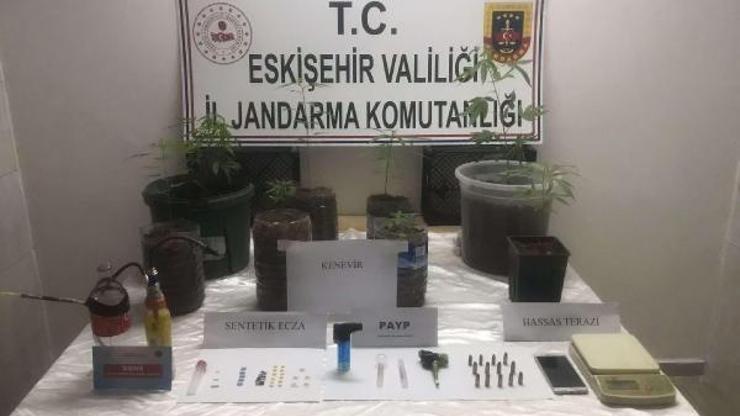 Evinde uyuşturucu yetiştirirken yakalandı
