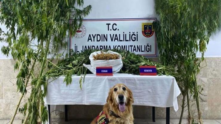 Aydında evinde uyuşturucu bulunan kişi gözaltına alındı