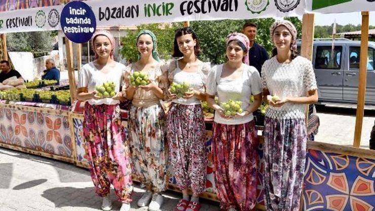 Bozalan İncir Festivali başlıyor