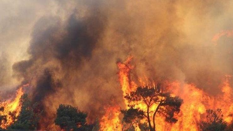 AFAD duyurdu: Çanakkale yangını kontrol altına alındı