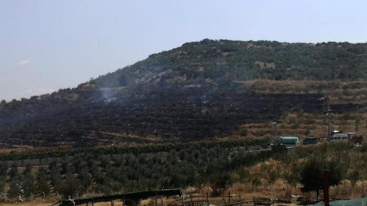 Bucakta özel ağaçlandırma sahasında çıkan yangın söndürüldü