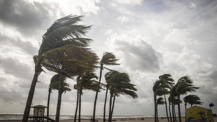 Florida, Idalia Kasırgası’na hazırlanıyor