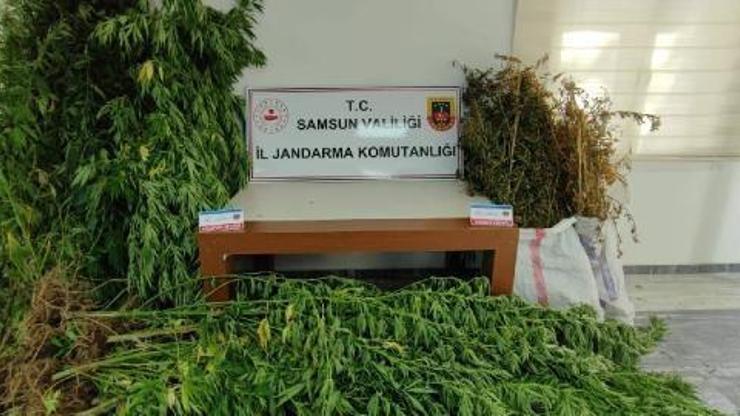 Samsunda uyuşturucuya 2 gözaltı