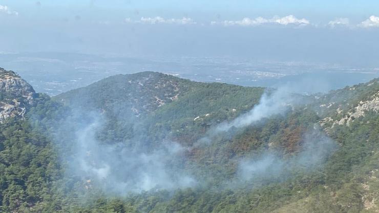 İzmirde orman yangını