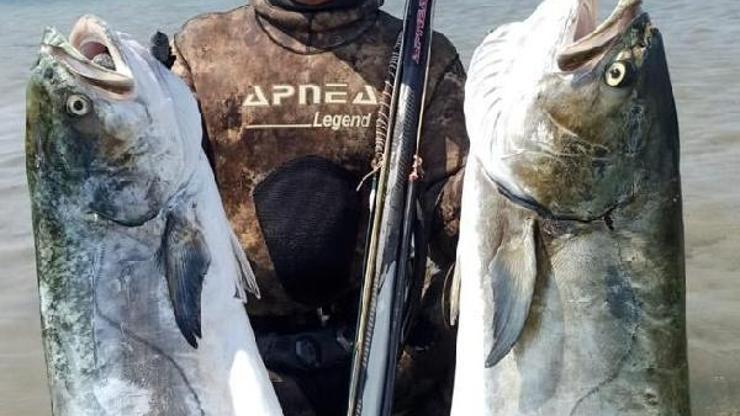 Zıpkınla 30 kiloluk 2 liça balığı avladılar