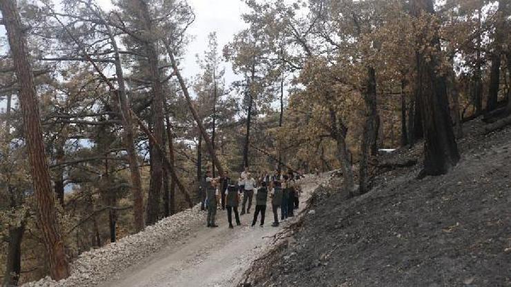 Göynük’te yanan alanların ağaçlandırılması için çalışmalar başlatıldı