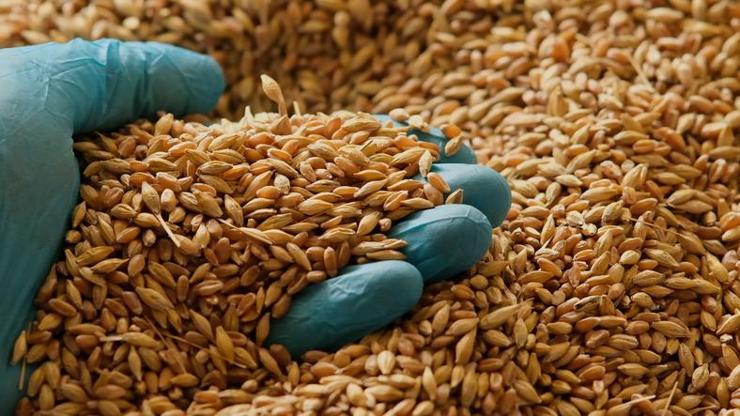 FAO Gıda Fiyat Endeksi Ağustos ayında düşüş yaşadı