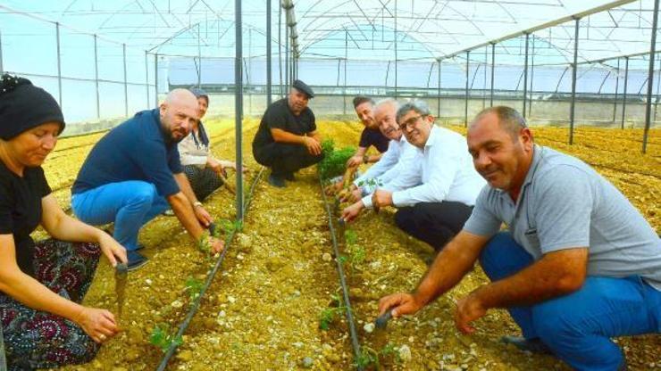 Tarımsal üretimde ekosistem projesinde Aksu pilot bölge