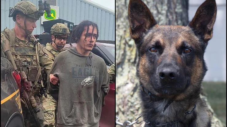 Firari mahkumu ‘Yoda’ yakaladı: ABD’de 2 hafta süren ‘insan avı’ sonlandı